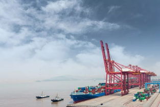 攜手諾丁漢卓越燈塔計劃，寧諾人工智能實驗室啟航 賦能國際貨物運輸代理創新