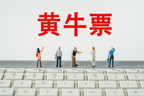 演唱會(huì)門票找“代搶”風(fēng)險(xiǎn)大，票務(wù)代理服務(wù)暗藏哪些貓膩
